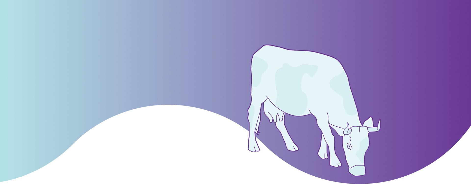 Dostupná a spolehlivá faremní diagnostika mastitid dojnic. Snižte ztráty v produkci mléka i náklady na léčbu.